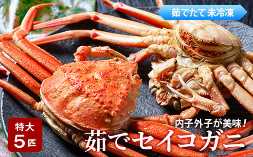 
【蟹の匠　魚政】内子外子が美味!　茹でたて　セイコガニ(セコ蟹)(香箱ガニ)(こっぺ)　特大サイズ　5匹セット
