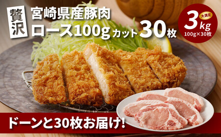 贅沢宮崎県産豚肉 ロース100g カット30枚