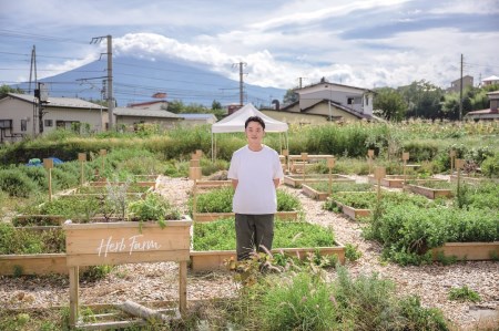 ハーブティーセット(ミント&レモン) ティーバッグ20個