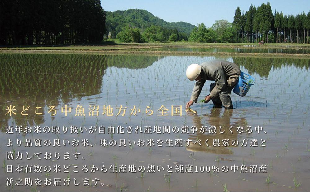 【3ヶ月定期便】令和7年産新米 中魚沼産「新之助(しんのすけ)」5kg×全3回127534-044