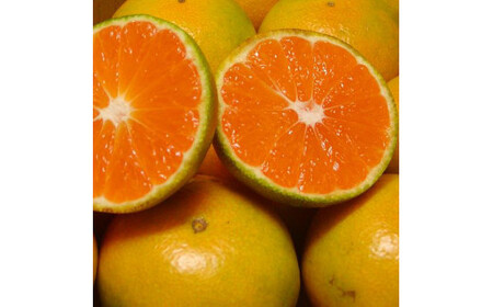 濃厚な味わい ご家庭用 ゆら早生みかん　約4kg　サイズ混合【10月上旬より発送】希少品種《有機質肥料100％》※2025年10月上旬より順次発送予定【nuk162A】