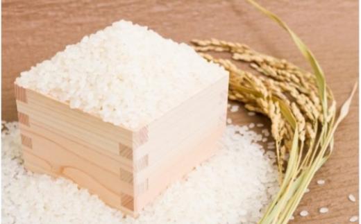 ＜定期便 全6回＞ 令和8年産米 真庭市産 太安さんちのあきたこまち 白米 10kg（5kg×2袋）×6回 / お米 国産 岡山県 人気 ブランド 2026年産 【tkns-tkb043】 10kg(
