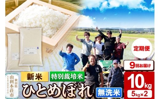 ＜令和8年産 新米＞《定期便9ヶ月》【無洗米】特別栽培米 ひとめぼれ 10kg（5kg×2袋）秋田県産 [ひとめぼれ 新米 米 お米 無洗米 特別栽培米 ブランド米 食卓 おにぎり 秋田県産 秋田]