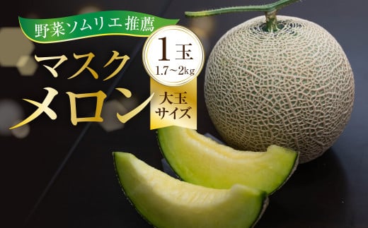先行予約 【7月発送】数量限定 野菜ソムリエ推薦渥美半島伊良湖潮風育ちマスクメロン1玉大玉サイズ(1.7～2キロ)カラーギフト箱入り  田原市 伊良湖産 ギフト プレゼント お取り寄せ 渥美半島 農家直送 送料無料 10000円 一万円