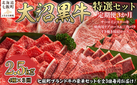 定期便セット定期3カ月　大沼黒牛の特選セット NAM059