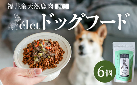 福井県産天然鹿使用の美容健康 ドッグフード e'let 腸活 6個 【ジビエ 鹿肉 シカ 健康 犬 小型犬 中型犬 大型犬 ペット フード エサ 厳選】 [A-20004]