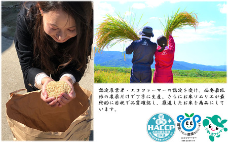 【令和7年度産】＼農家直送！出荷日精米／茨城県産 ミルキークイーン ほたる 10kg 5kg×2袋 茨城県共通返礼品 かすみがうら市産 米 お米 白米 こめ 精米 取り寄せ 特産 ごはん ご飯 コメ 