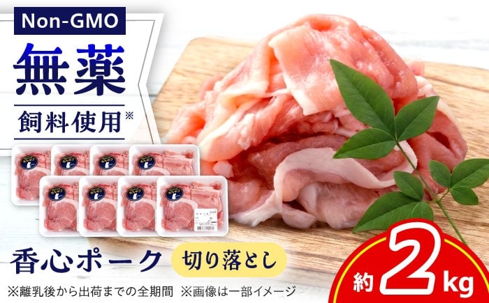 
            『香心ポーク』切り落とし 約250g×8パック（計約2kg）豚肉 冷凍 熊本県産 【有限会社 コーシン】 [AYCK016]
          