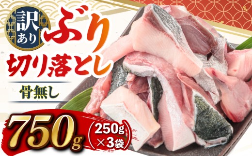 ブリ切り落とし 約750g(250g×3袋)  すくも湾漁業組合