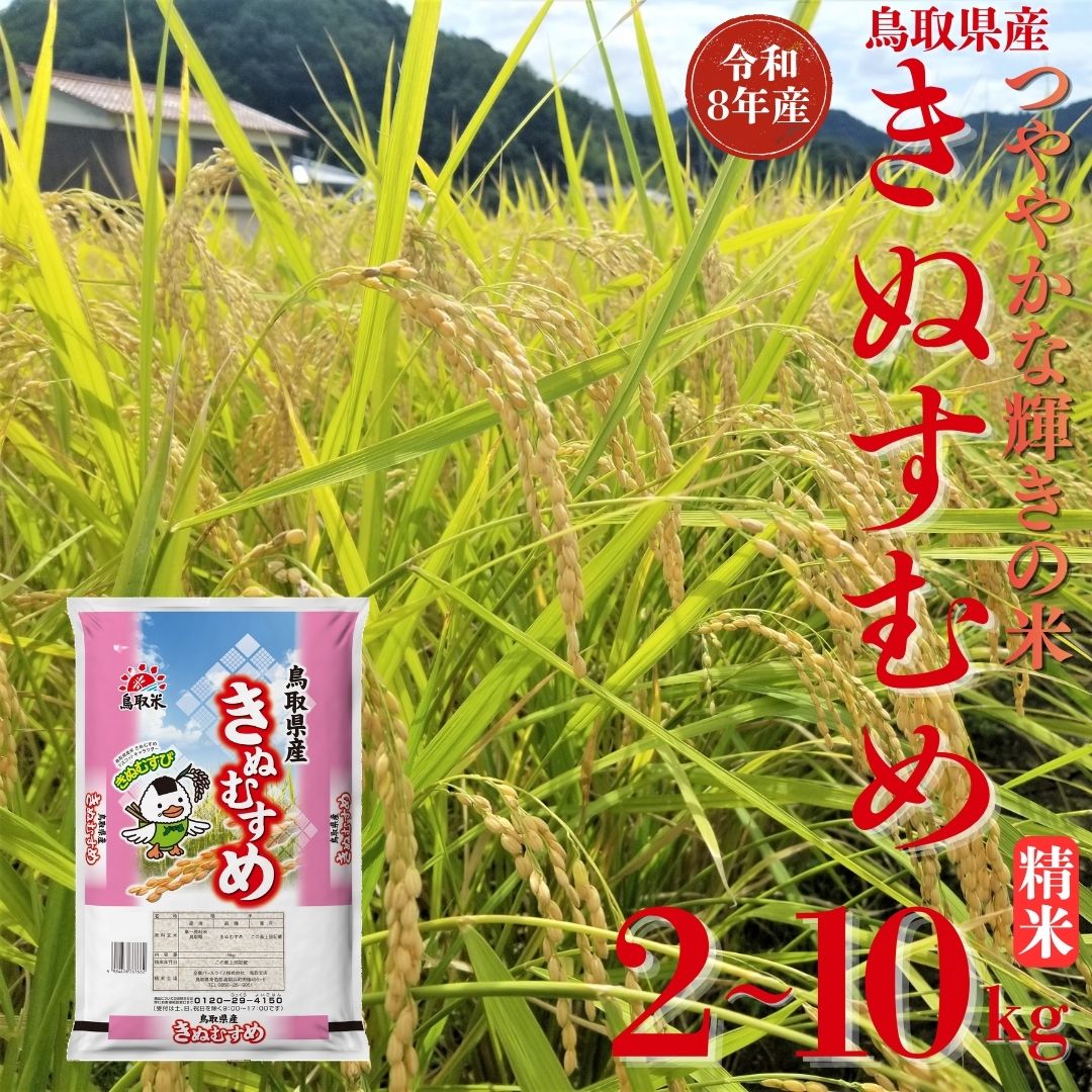 【ふるさと納税】きぬむすめ 精米 10kg 2kg 5kg 令和8年産 鳥取県 産 | 送料無料 お米 米 白米 ご飯 銘柄米