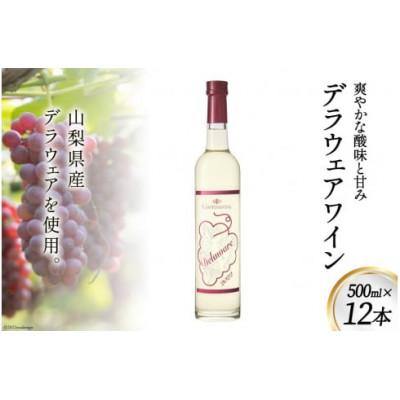 ふるさと納税 韮崎市 デラウェアワイン 500ml×12本