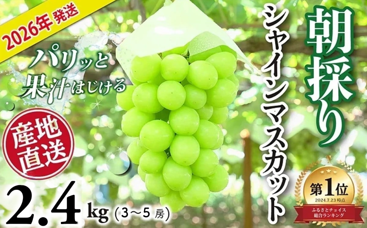 
            【2026年発送分】 シャインマスカット 2.4kg  3~ 5房 おすすめ 人気  山梨県 産地直送 フルーツ ブドウ 果物  ぶどう シャイン マスカット くだもの お届け 国産 葡萄  贈答 新鮮
          