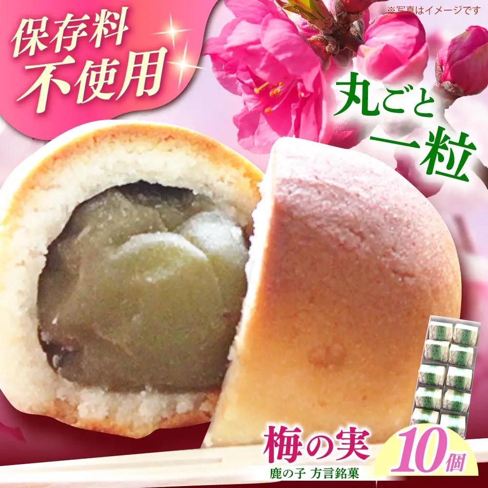 和菓子 築上銘菓「 梅の実 」10 個 [ABAC018] 和菓子