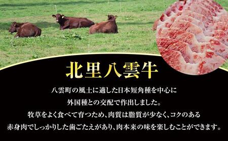 【6回定期便】北里八雲牛 加工品3点詰め合わせセット | 定期便　定期便　定期便　定期便　定期便　