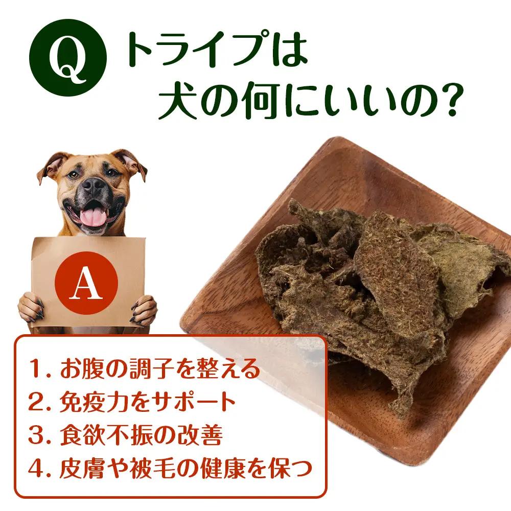 乾燥ホルモントライプ 20g×2袋