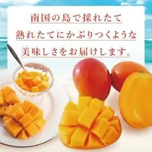 豊見城産マンゴー『殿内之宝(どぅんちのたから)・極』約1kg