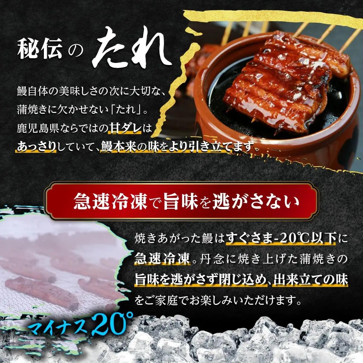 鹿児島県産 長蒲焼 特大3尾（200g以上×3尾）｜うなぎ うなぎ