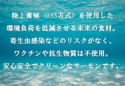 C49【1月31日(金)発送】日本初！今話題の国産アトランティックサーモン「FUJI ATLANTIC SALMON」【生】600ｇ｜鮭 サーモン アトランティックサーモン 国産サーモン