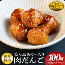 【ふるさと納税】「美ら島あぐー®」入り肉だんご 100個（400g×5P）