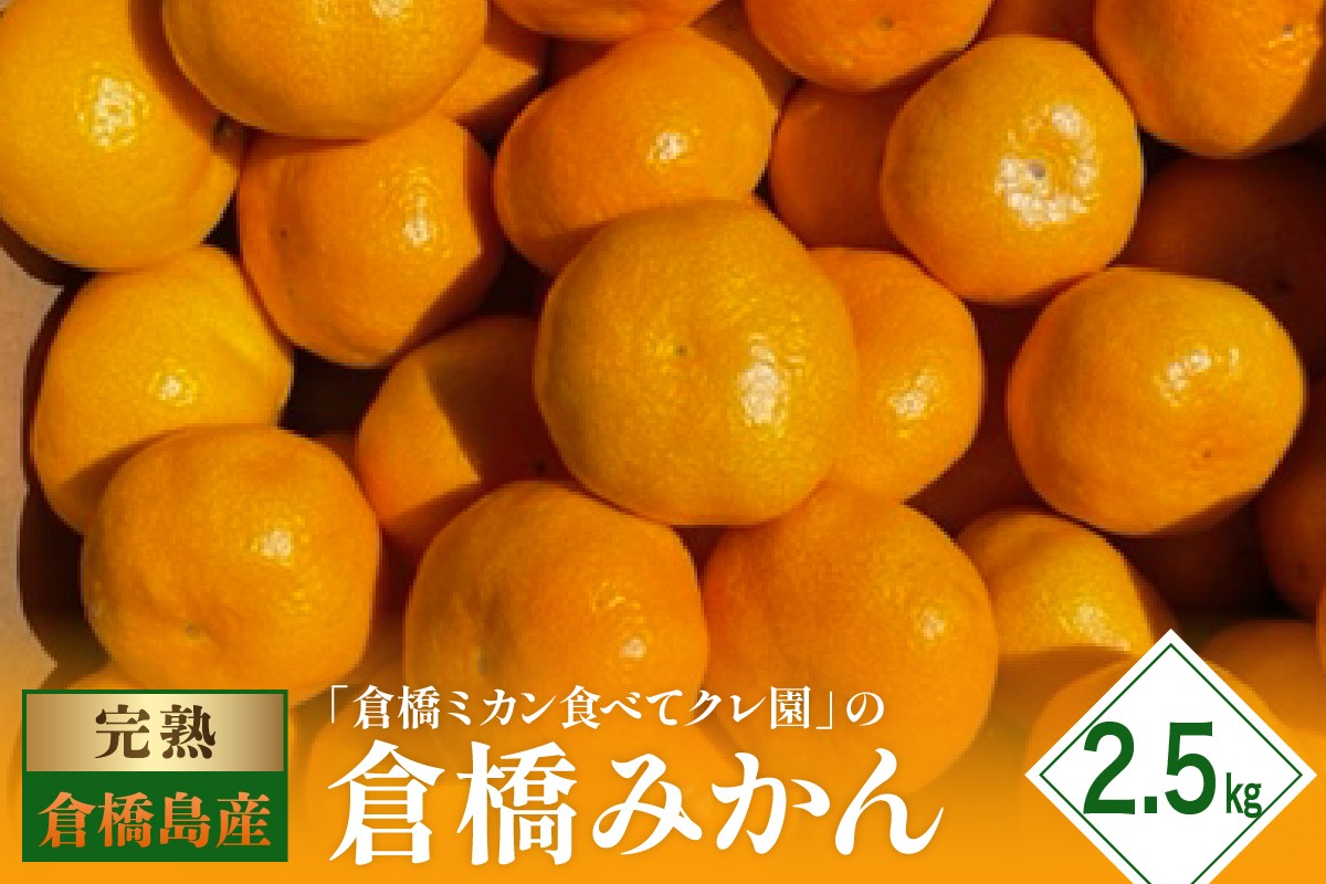 
            【2025年11月初旬～発送】倉橋ミカン食べてクレ園 倉橋みかん 約2.5kg ku154-009-25
          