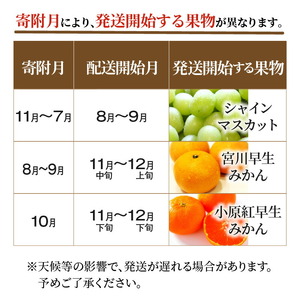 産地厳選三豊のフルーツ３回定期便　N_M64-0054