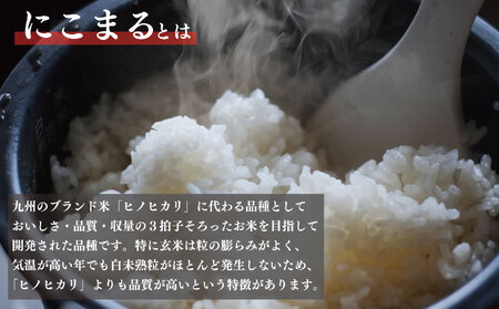 玄米 5kg にこまる お米 栽培期間中農薬不使用 安心 安全 こだわり栽培 ビタミン ミネラル 食物繊維 豊富 おにぎり お弁当 ブランド米 徳島県 阿波市 米笑