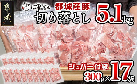 都城産豚切り落とし5.1kg(ジッパー付袋入り)_16-1502_(都城市) 都城豚肉 総重量5kg超え切落とし 300g×17パック チャック付き 小分け 冷凍 省スペース ウデ肉 モモ肉 ストック