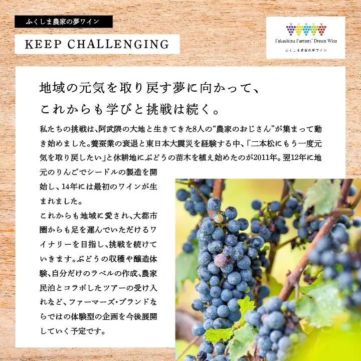 スパークリング白ワイン‐Chateau Romanshu Sparkling Shine2024‐500ml×1本【ふくしま農家の夢ワイン株式会社】