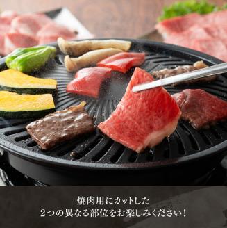 宮崎牛 赤身 霜降り 焼肉 2種 400g　牛肉[E11105]