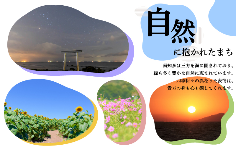 味付海苔 12本 島の香 味付け海苔 のり