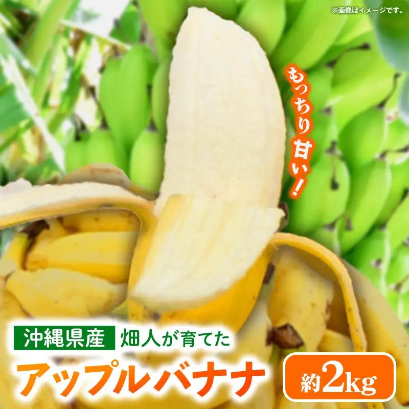 畑人のアップルバナナ 約2kg - バナナ ばなな 小ぶり もっちり とろける 甘さ 追熟 沖縄県 産地直送 果物 フルーツ 南国 朝食 おすすめ 沖縄県 八重瀬町