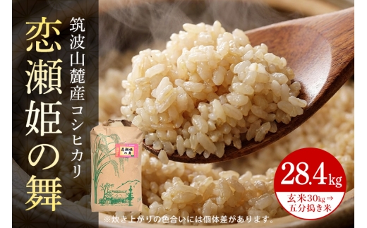 【玄米30kg⇒五分搗き米】筑波山麓厳選米【特A】令和7年産コシヒカリ（恋瀬姫の舞） B07-035