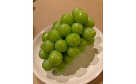 ぶどう 2026年 先行予約 岡山県産 朝採れ シャインマスカット 2房（1kg以上）・シャインマスカットのドライフルーツ 40g×2袋 セット | フルーツ 果物 くだもの 朝採れ ドライフルーツ 