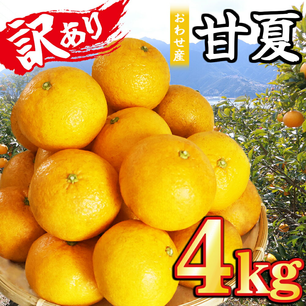【ふるさと納税】おわせの甘夏 【訳あり】 4kg 木成り完熟甘夏 甘夏 蜜柑 果物 みかん 雨の恵み 国産 三重 尾鷲 柑橘 特産品 AI-6