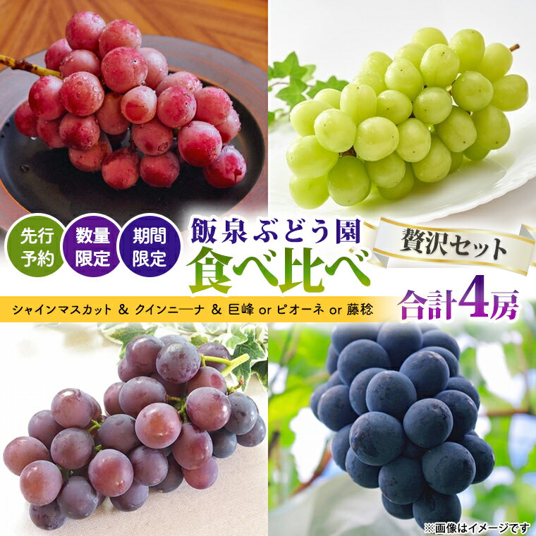 【ふるさと納税】【 先行予約 数量限定 期間限定 】絶品！飯泉ぶどう園の おすすめ ぶどう 4種 （ シャインマスカット ＆ クインニ―ナ ＆ 巨峰 or ピオーネ or 藤稔 ）食べ比べ 贅沢セット（ 合計 4房 ） 2025年8月下旬～発送開始 贅沢 飯泉ぶどう園 産直 新鮮 採れたて