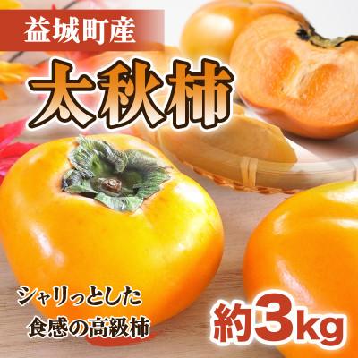ふるさと納税 益城町 益城町産 太秋柿 約3kg(益城町)