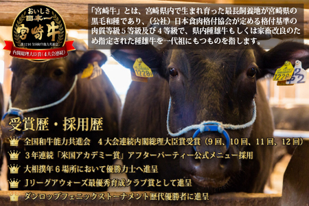 【A４等級以上黒毛和牛】宮崎牛ステーキ＆スライスセット 1.0㎏（国産 黒毛和牛 宮崎牛 ブランド牛 ステーキ 内閣総理大臣賞） ステーキ 和牛ステーキ 牛肉ステーキ 国産ステーキ 小林市ステーキ