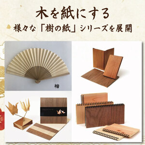 熨斗袋 赤 1袋 のし ドリームチーム