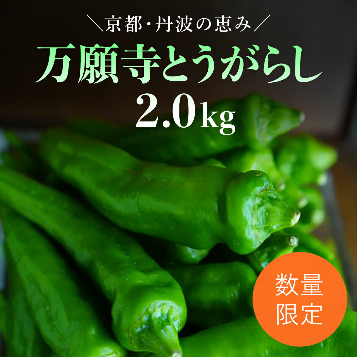 【ふるさと納税】＜先行予約！2026年6月上旬以降順次発送予定＞万願寺とうがらし(2kg) 京野菜 野菜 旬の野菜 万願寺とうがらし 伝統野菜 京都 【fc-DB008】【夜久野 清雫】