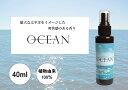 【ふるさと納税】 四国一小さなまち 『香りの教室 帆南』 アロマスプレー ～ OCEAN ～　　アロマ スプレー 携帯 手指 マスク 天然 精油 美容 ボタニカル 自然 エッセンシャルオイル 植物 海 ブレンド オリジナル 抗菌 除菌 消臭 香り 爽快 高知県 田野町 送料無料