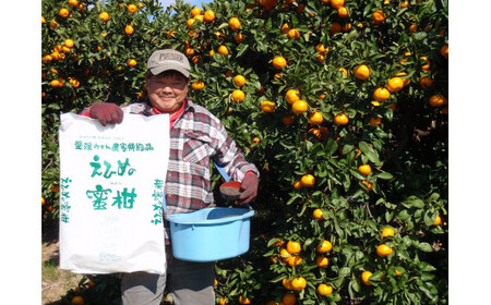 宇和島みかん お任せ ストレート ジュース 3本セット ワールドファーマーズ 果汁 飲料 柑橘 みかん 蜜柑 みかんジュース ストレートジュース 100%ジュース 果物 フルーツ ストレート 無添加 