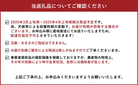 宇城市産 ハウス栽培 プラズマ完熟不知火 約5kg（15～22玉）【高岡農園】【2025年3月上旬～2025年4月上旬発送予定】不知火 デコポン 柑橘 果物 フルーツ 完熟