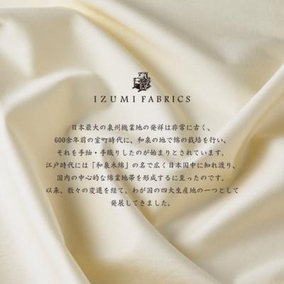ふるさと納税 和泉市 (50×150cm)ハンガリー産ホワイトダックダウンピロー(羽毛枕)90%(抱きまくら) |  | 02