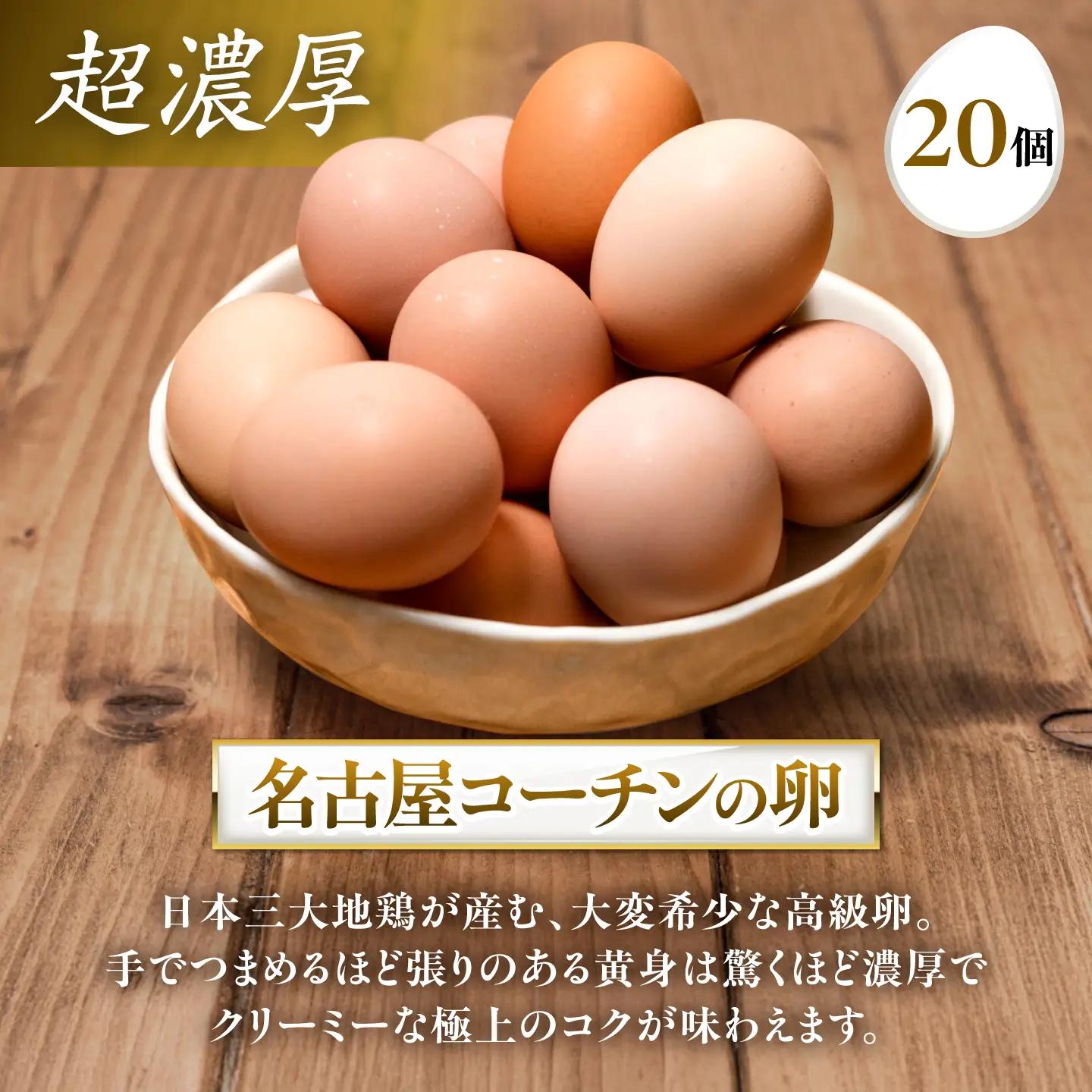 3種食べ比べ 大容量セット 60個（名古屋コーチン20個・赤卵20個・白卵20個）/ 卵 たまご / 稲沢市 / 櫛田養鶏場[BMAY010]