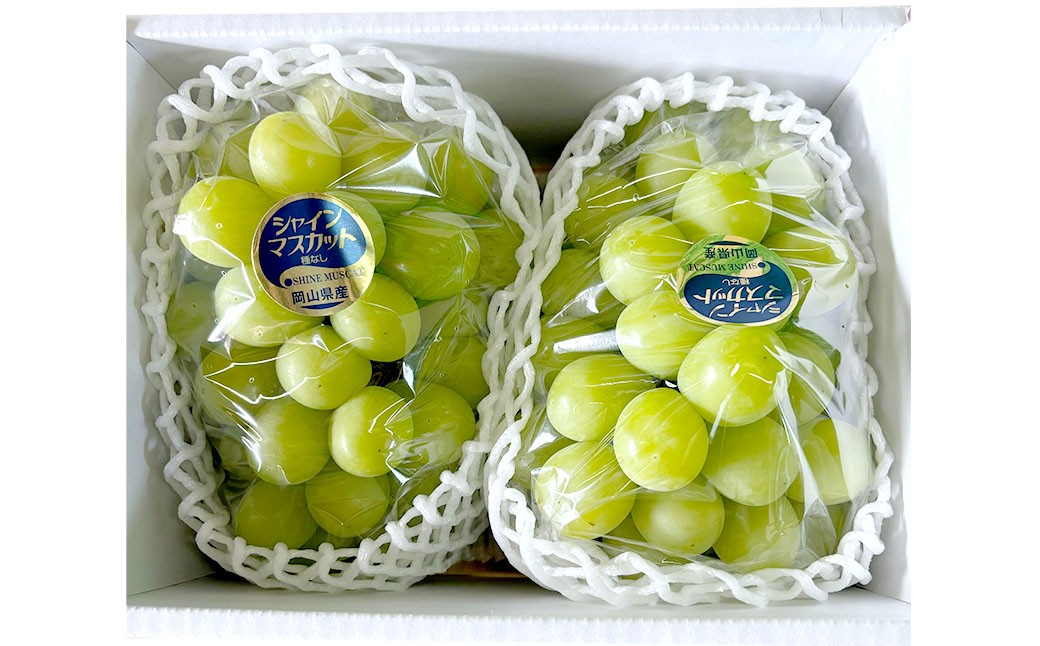 
            ぶどう 2026年 先行予約 シャイン マスカット 2房 合計1.4kg以上 ブドウ 葡萄  岡山県産 国産 フルーツ 果物 ギフト 河本農園 【2026年9月上旬～9月下旬発送予定】
          