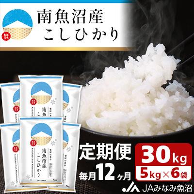 ふるさと納税 南魚沼市 【毎月定期便】南魚沼産こしひかり 精米 30kg(5kg×6袋) 全12回