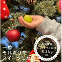 【ふるさと納税】ふゆのシャインマスカット 粒 (2kg以上) 山梨産 2024年発送※11月上旬頃～12月下旬頃【配送不可地域：離島・沖縄県】【1560612】