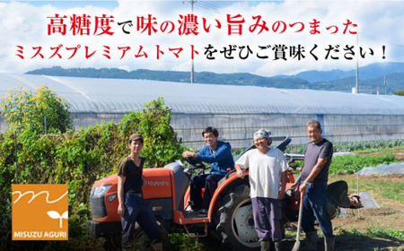 【先行予約】高糖度 トマト ミスズプレミアム トマト 「ルージュ」 約1kg（9個） ＜株式会社ミスズアグリ西海＞ [CFN001] トマト ﾄﾏﾄ とまと フルーツトマト ﾄﾏﾄ こだわりトマト ﾄ