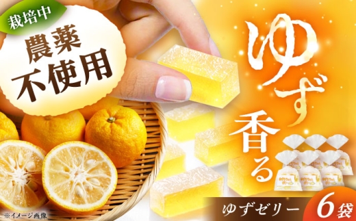 ゆずゼリー 6袋 / ゆずゼリー ゼリー 柚子 ゆず お菓子 スイーツ デザート おやつ 和菓子 フルーツゼリー さっぱり 香り 酸味 涼菓 お茶請け お茶菓子 お土産 手土産 ご褒美 お取り寄せ 贈答 ギフト 岐阜県 / 恵那市 / かさぎゆず組合 [AUAW015]