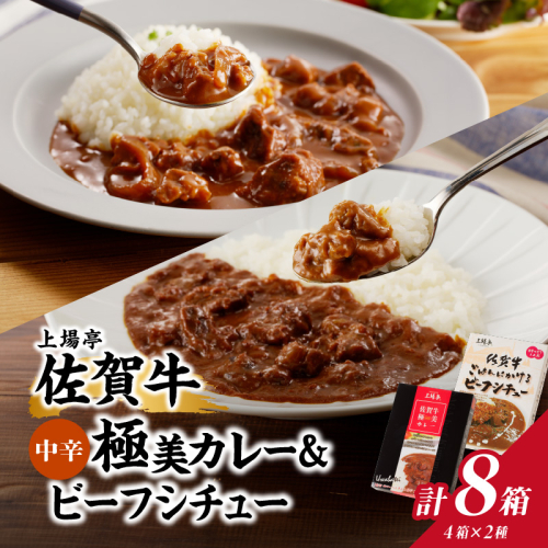 佐賀牛極美カレー（中辛）と佐賀牛ビーフシチューセット（合計8箱）